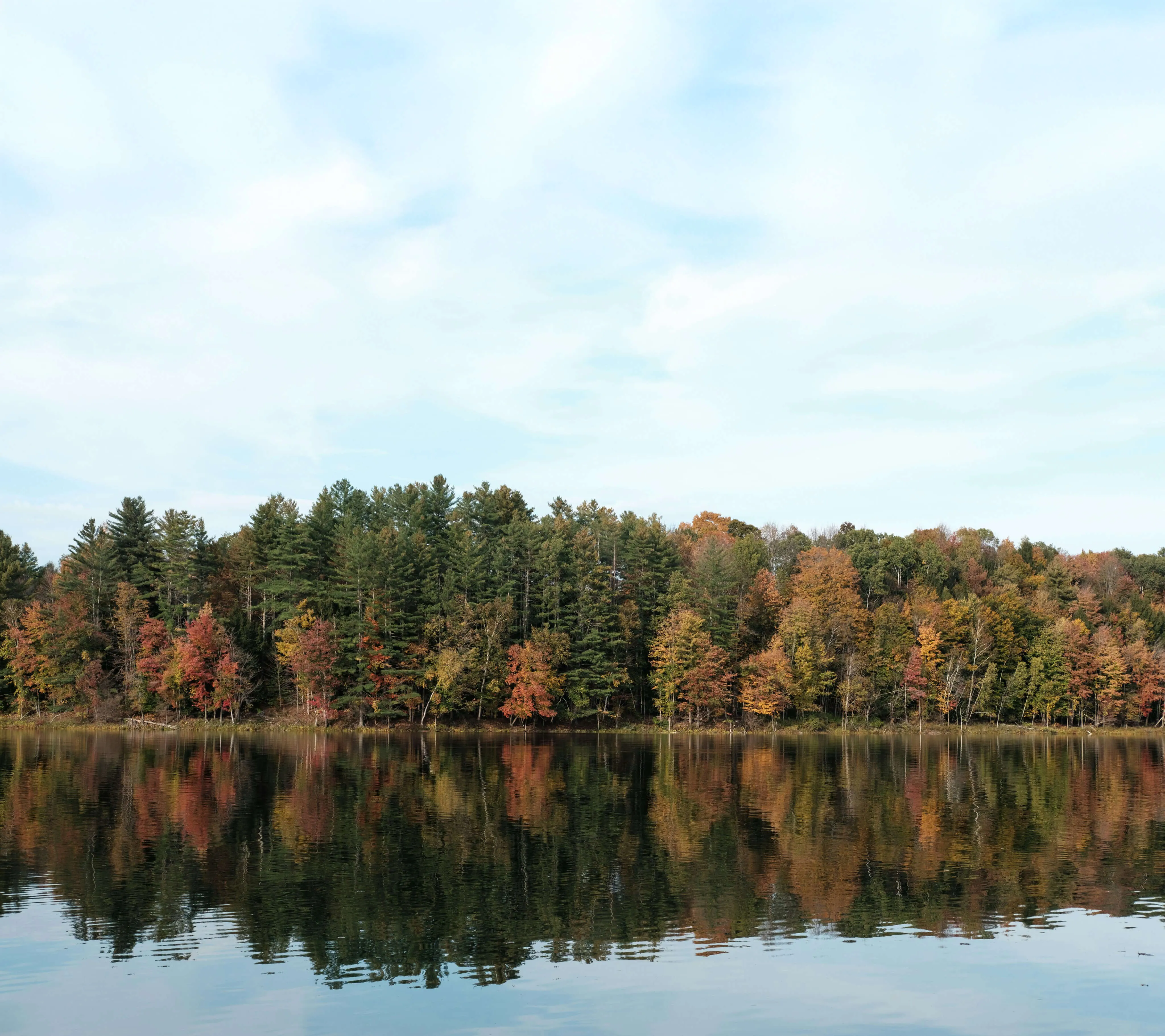 Gorski Kotar forest landscape