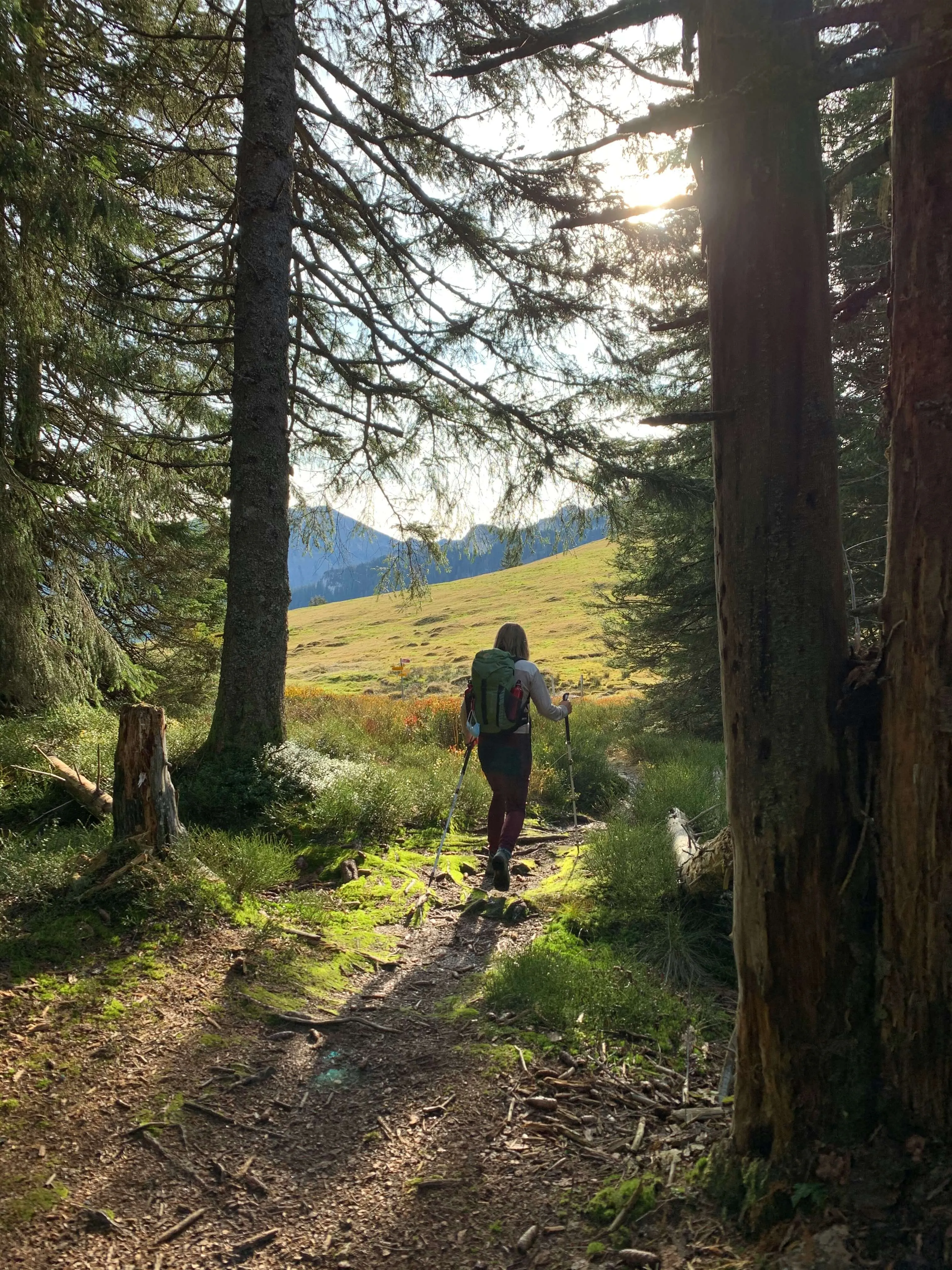 Risnjak National Park trails